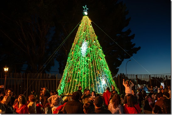 Encendido Árbol Navideño Kunstmann-104